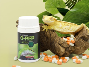 G-REP LACTO 지렙락토 파충류전용 녹십자수의약품 유산균제